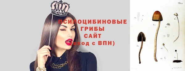 бутират Кадников