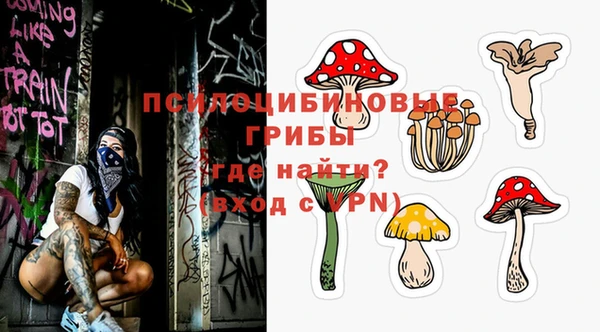 не бодяженный Новозыбков