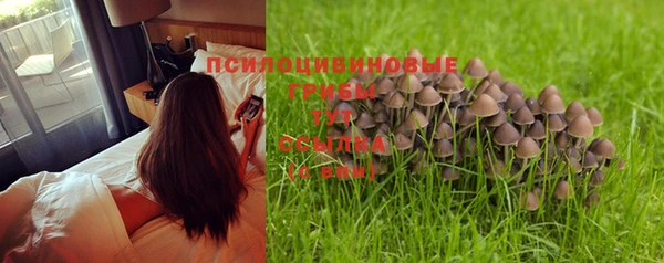 скорость Новокубанск