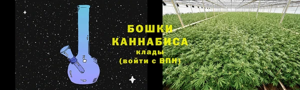не бодяженный Новозыбков