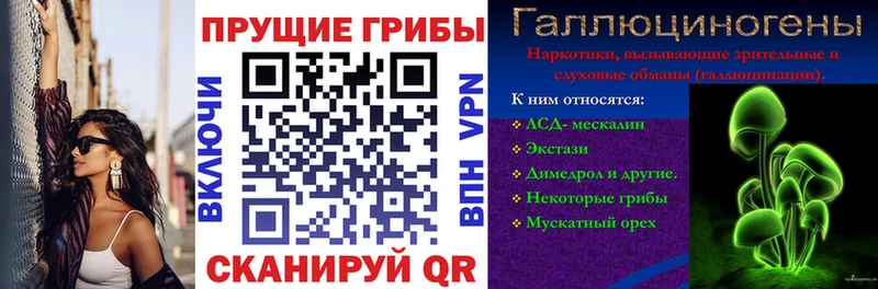 Купить где  Дальнегорск  Галлюциногенные грибы мицелий 