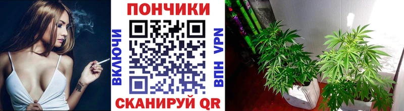 Конопля THC 21%  Купить  Дальнегорск 